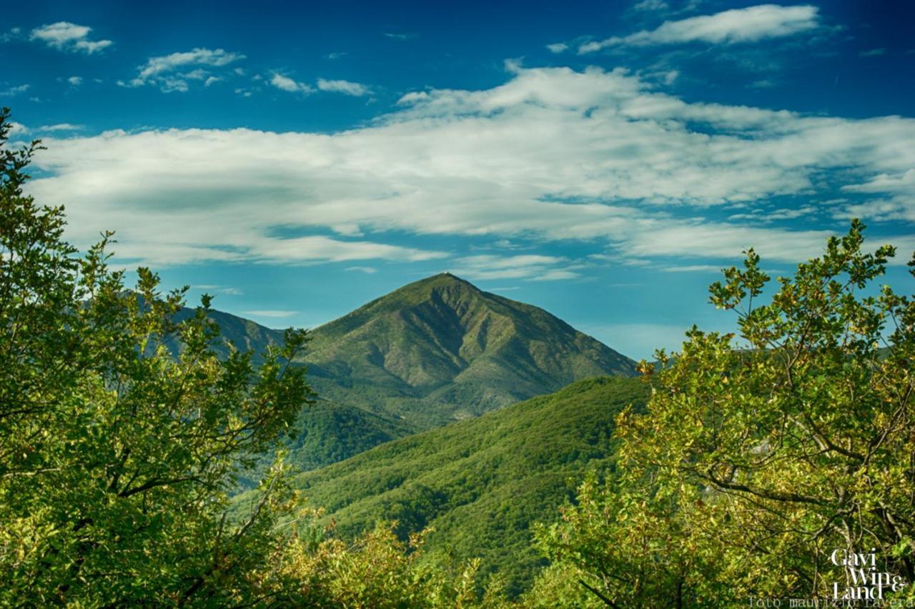 B&B Treinin Гави Экстерьер фото
